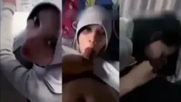 Gadis Berhijab Cantik Mengisap Penis