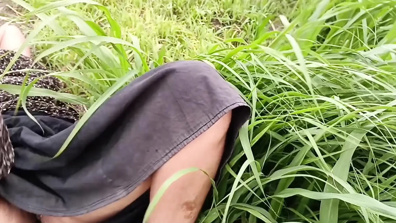 To Get Sister-in-law's Beautiful Pussy, He Went From House To Field To Get Four Katwans With Him, Brother-in-law Fucked Sister-in-law, Fucked Sister-in-law, Fucked By The Field